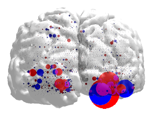Brain Data Visualizaton